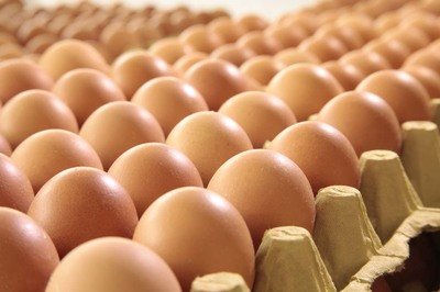 海西自治州鸡蛋检测价格,鸡蛋检测机构,鸡蛋检测项目,鸡蛋常规检测